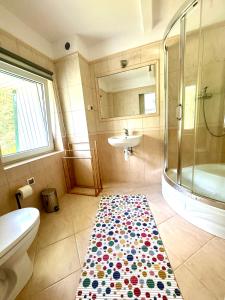 a bathroom with a shower and a rug on the floor at Corner House Plesna in Pleśna