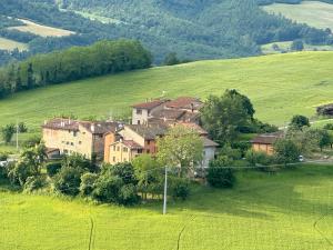 eine Gruppe von Häusern auf einem Feld auf einem Hügel in der Unterkunft La corte dei celti la fonte 1 in San Benedetto Del Querceto