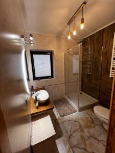 a bathroom with a shower and a sink and a toilet at Domek całoroczny Borzy-chatka nad Liwcem in Borzychy