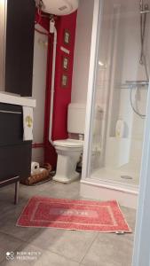 a bathroom with a toilet and a shower and a rug at Studio 18 Résidence du Parc in Châtel-Guyon