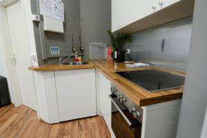 Eldhús eða eldhúskrókur á Berger Zentrum