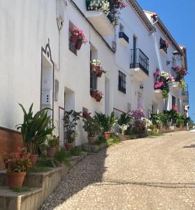 une rue avec des plantes en pot sur le côté d'un bâtiment dans l'établissement Alojamiento La Tana, à Fuenteheridos