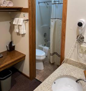 een badkamer met een toilet, een wastafel en een douche bij Spring Valley Inn in Spring Green