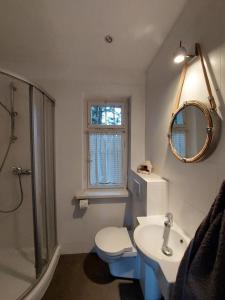 een badkamer met een toilet, een wastafel en een spiegel bij BIAŁY DOMEK w Puszczykowie in Puszczykowo