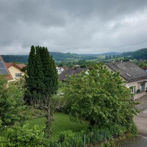 an aerial view of a yard with trees and houses at Ferienwohnung am Berg in Wiesent