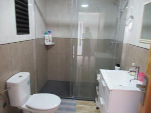ein Bad mit einer Dusche, einem WC und einem Waschbecken in der Unterkunft lovely double room with private bathroom in Albox