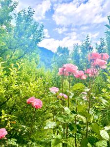 Fotografie z fotogalerie ubytování Khwabgah Stays v destinaci Manāli