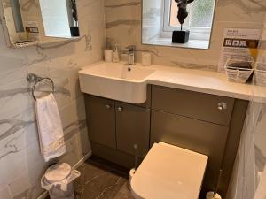 La salle de bains est pourvue d'un lavabo, de toilettes et d'un miroir. dans l'établissement Picket Post House Bed & Breakfast, à Catterall