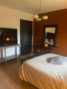 um quarto com uma cama e uma televisão de ecrã plano em L’hirondelle du Faubourg 