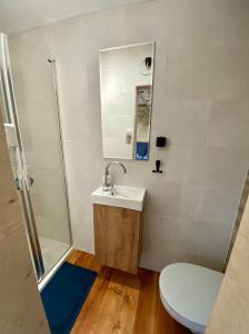 a bathroom with a sink and a shower and a toilet at Agroturystyka przy Pracowni Malarstwa i Rzeźby 