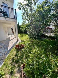 a yard next to a building with a tree at Lux Ohrid in Ohrid +39 photos