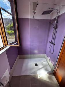 a bathroom with a shower with purple walls at Vida Locrese con piscina salata in Gerace +40 photos