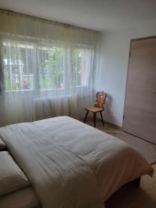 a bedroom with a bed and a chair next to a window at Appartement Entre Strasbourg Et Colmar - Proche d'Europa Park in Sermersheim
