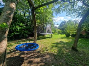 Niebieska huśtawka wisząca na drzewie na podwórku w obiekcie Modernised seven bedroom country house and garden with hot tub w mieście Cranbrook