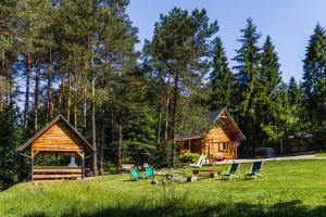 una cabaña en el bosque con sillas y mesa de picnic en Smerekowiec domek w lesie, en Smerekowiec