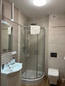 Koupelna v ubytování M&S Holiday Mountain