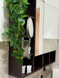 une salle de bain avec un miroir et une plante dans une armoire dans l'établissement Casa GioIre - Como, à Côme