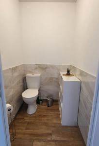 a bathroom with a toilet and a sink at Maison au calme proche océan in Vielle-Saint-Girons