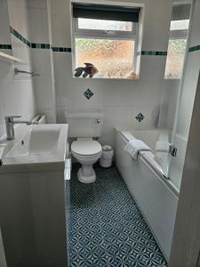 a bathroom with a sink and a toilet and a window at Mandalay Holiday Home in Amesbury +30 photos