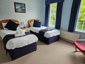 2 camas en una habitación con paredes y ventanas azules en Mandalay Holiday Home en Amesbury