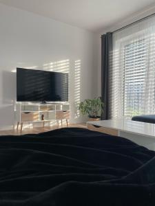ein Wohnzimmer mit einem Flachbild-TV und einem Sofa in der Unterkunft Klimatizovaný Apartmánový dom, s vírivkou, 1B in Senec