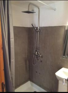 a shower with a shower head in a bathroom at Studio centre village Ceillac in Ceillac