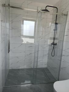 um chuveiro com uma porta de vidro na casa de banho em Eurouna relax em Bosanska Krupa