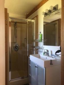 een badkamer met een douche en een wastafel bij Cariboo Log Guest House in Lac La Hache
