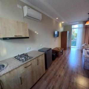 Kuchyň nebo kuchyňský kout v ubytování Guest house Gio