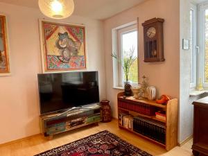 TV a/nebo společenská místnost v ubytování Wunderschönes Apartment im Zentrum Goldstadt Pforzheim