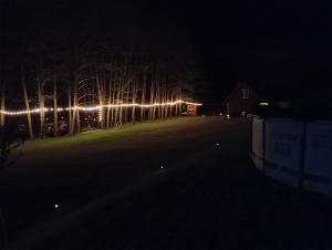 a group of trees with lights in the dark at Działka u Zbycha - na wyłączność - duży teren 