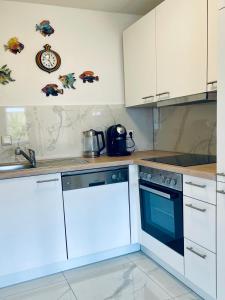 Kuchyň nebo kuchyňský kout v ubytování Wunderschönes Apartment im Zentrum Goldstadt Pforzheim