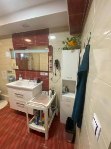 uma pequena casa de banho com um lavatório e um espelho em Homestay u Hanky em Zdiby