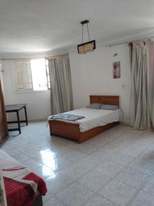 Легло или легла в стая в cairo center guest house female only