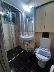 アルテミダにあるAmmos Artemis Apartmentsのトイレ、シャワー、洗面台を備えたバスルーム