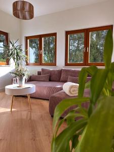 ein Wohnzimmer mit einem Sofa und einem Tisch in der Unterkunft Mucho WOW in Michelbach an der Bilz