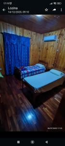 プエルトイグアスにあるCabaña del rio Paranáのウッドフロアの客室で、青いカーテンが備わります。ベッド2台を利用できます。