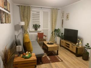 un soggiorno con divano e TV di Apartament Gustav a Zawiercie
