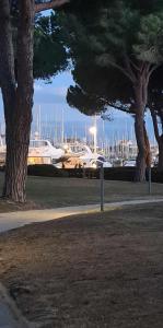 einen Park mit zwei Bäumen und einen Yachthafen mit Booten in der Unterkunft Studio cabine in Le Grau-du-Roi