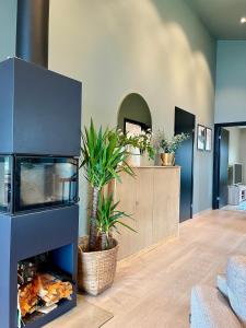 a living room with a fireplace with plants in it at Villa Arctic in Tromsø +34 photos