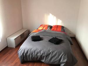 a bedroom with a large bed with red pillows at Logis cosy in Montbéliard