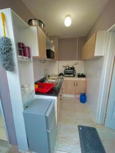 Кухня или мини-кухня в Greyview
