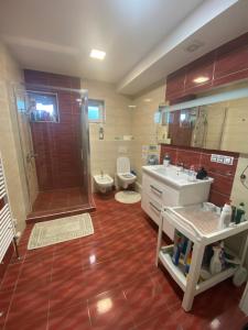 un bagno con doccia, WC e lavandino di Homestay U Hanky a Zdiby