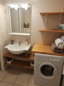サランシュにあるAppartement l'Étoile pour 1 à 4 personnesの洗濯機と洗面台を備えたバスルーム +12枚の写真