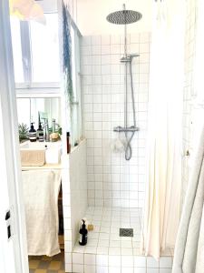 une salle de bain avec douche et lavabo dans l'établissement Appartement lumineux 3 pièces centre, à Saint-Germain-en-Laye