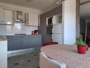 Kuchyň nebo kuchyňský kout v ubytování Apartment Krišković