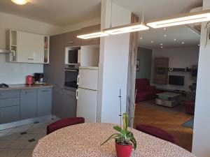 Kuchyň nebo kuchyňský kout v ubytování Apartment Krišković
