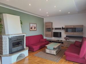 Kuchyň nebo kuchyňský kout v ubytování Apartment Krišković