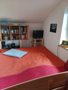 a bedroom with a large bed and a television at Apartment Moosblick zwischen Bergen und See in Benediktbeuern