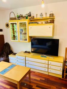 a living room with a tv on a dresser at El refugio de la ardilla, apartamento Canfranc-estacion in Canfranc-Estación